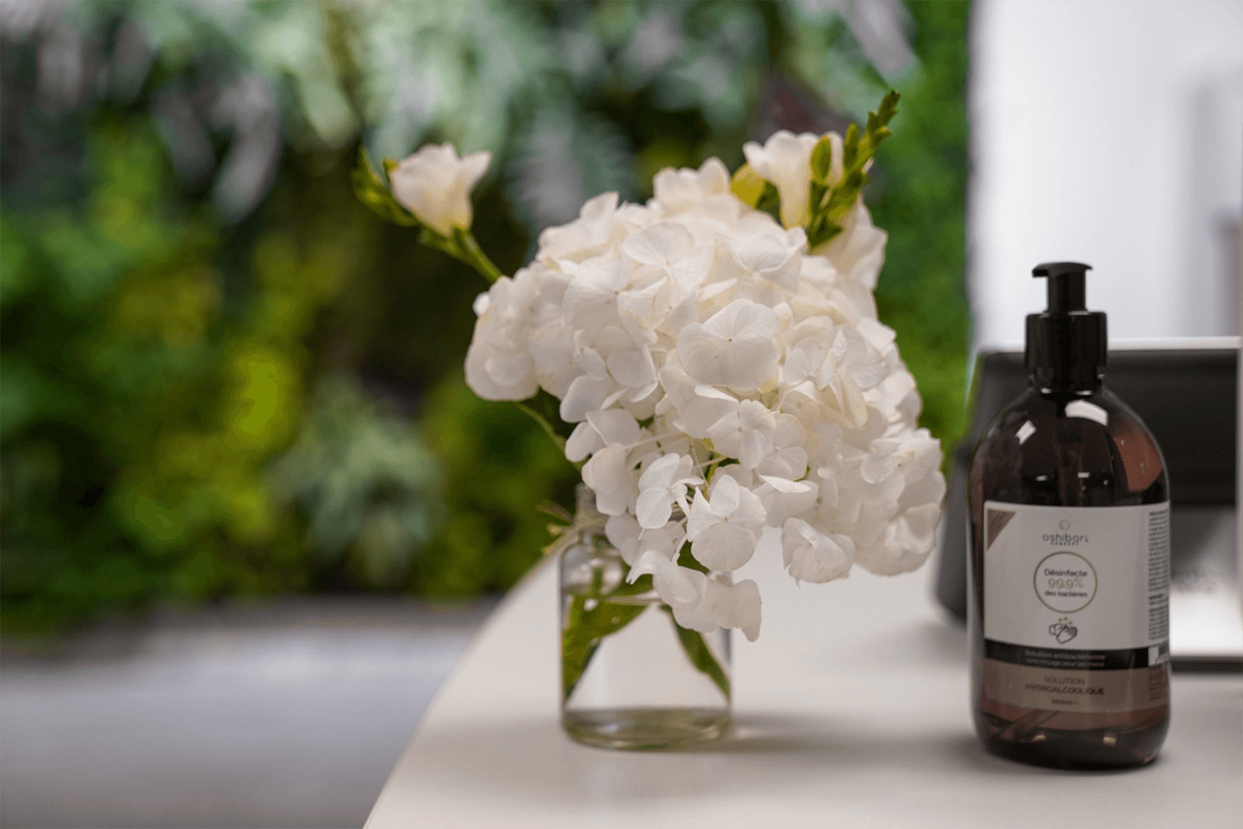 OSHIBORI CONCEPT A GREEN BRAND! Oshibori Concept